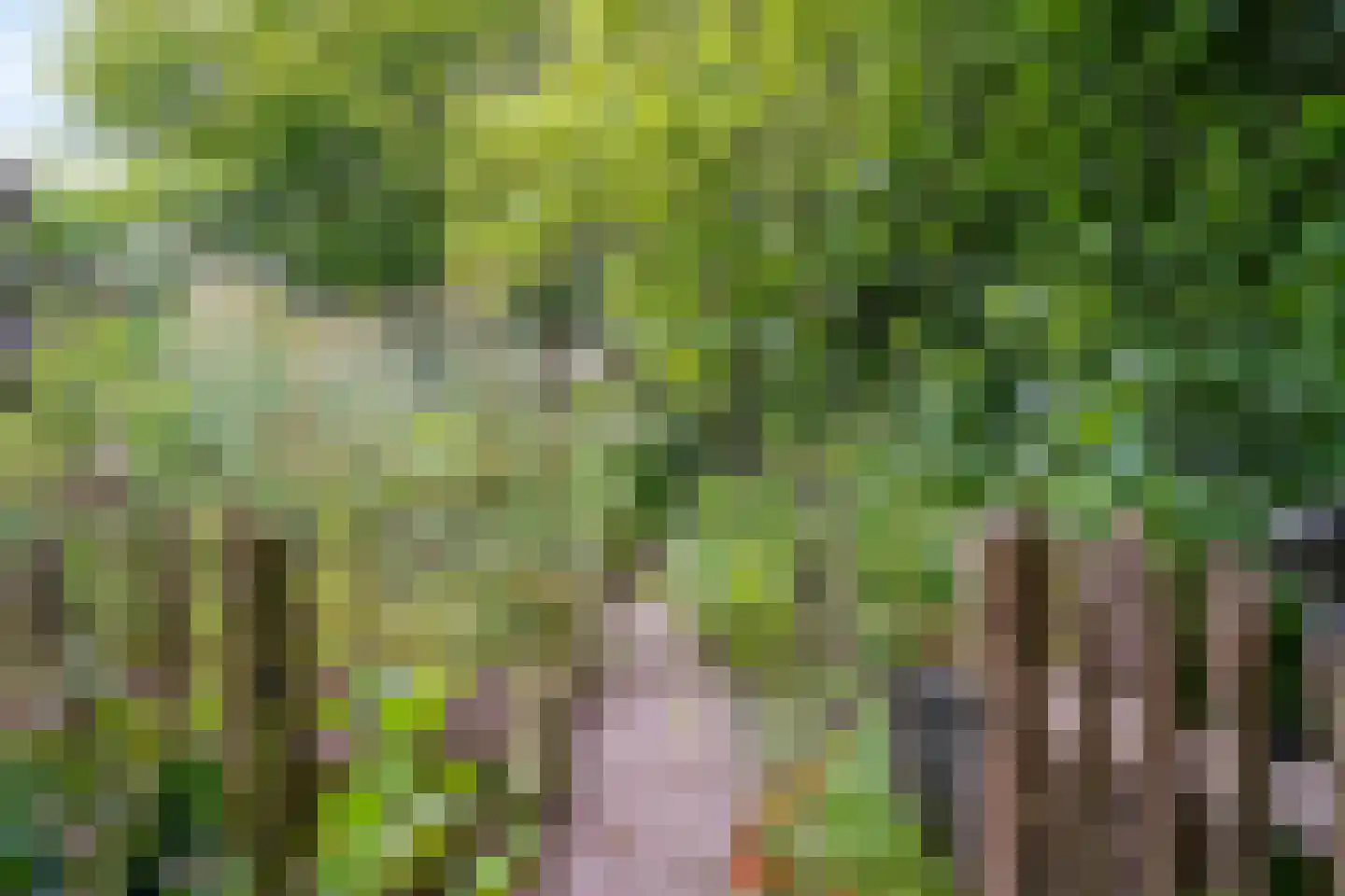 Visweg 2 c Limmen thumbnail 86