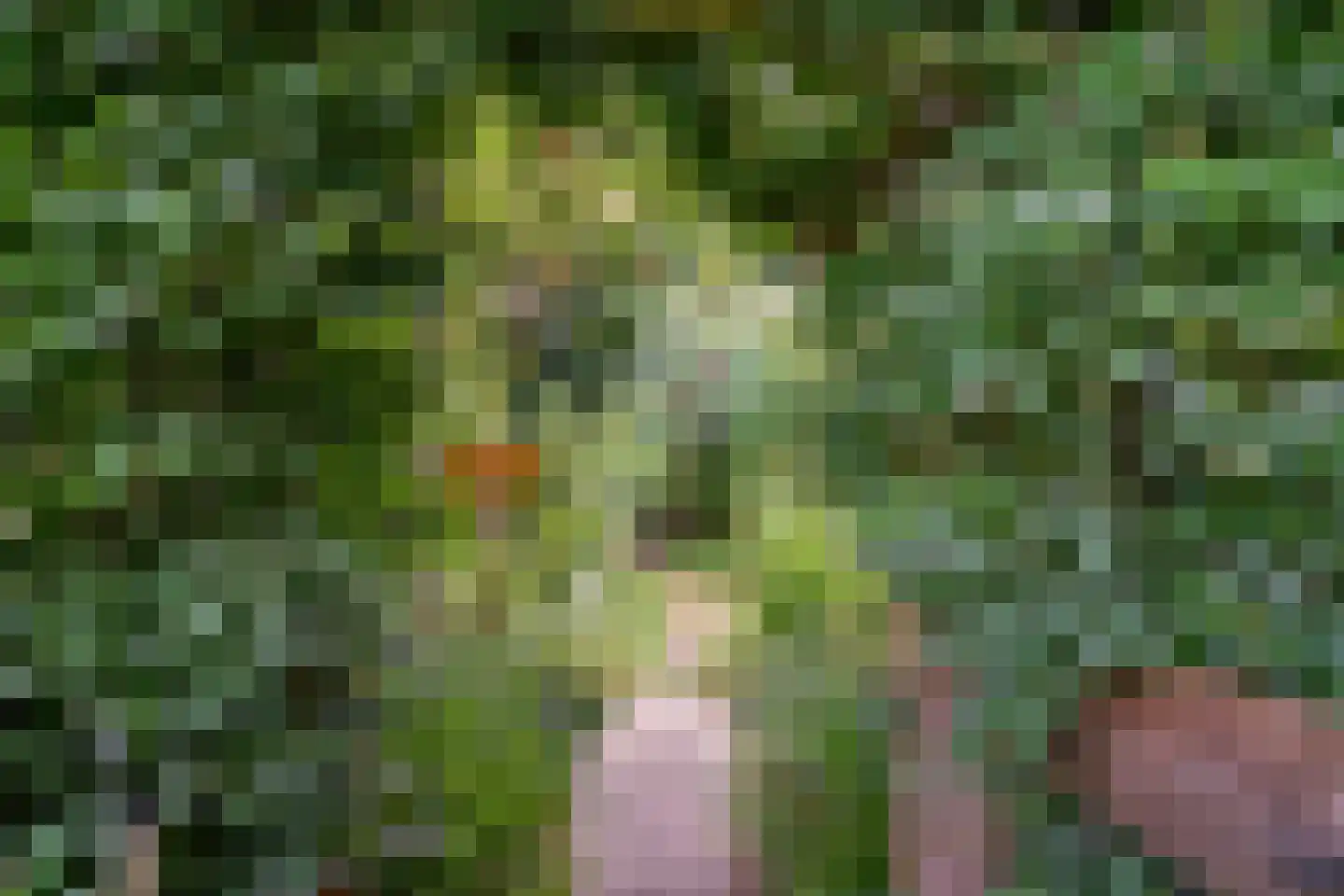 Visweg 2 c Limmen thumbnail 87