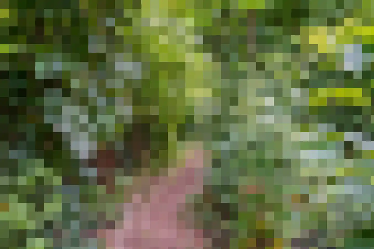 Visweg 2 c Limmen thumbnail 88