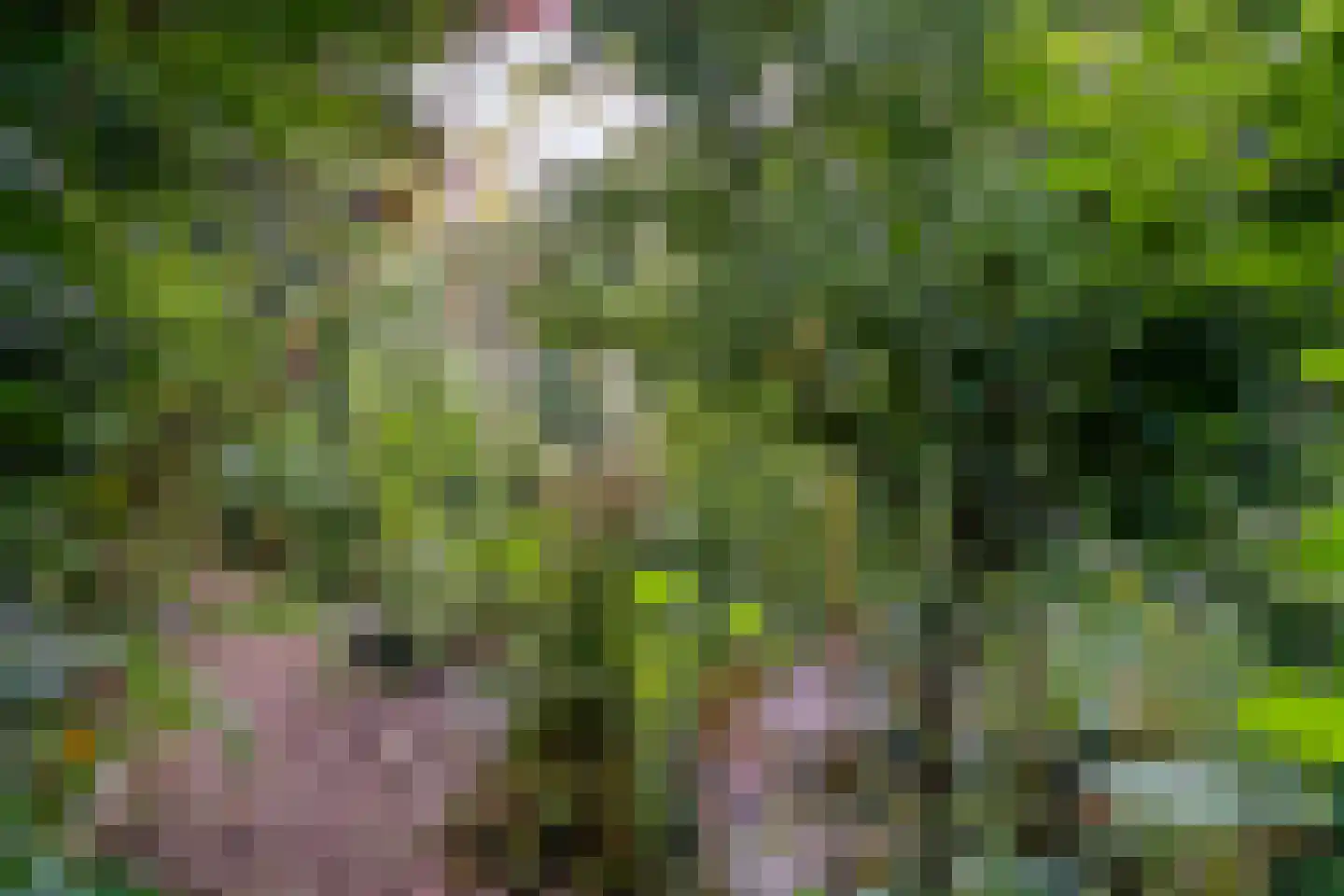 Visweg 2 c Limmen thumbnail 89