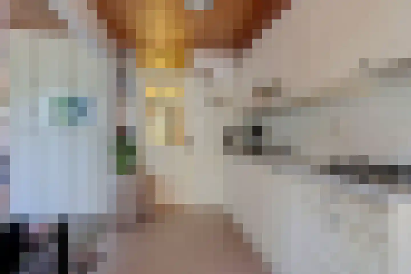 Visweg 2 Egmond-Binnen thumbnail 14