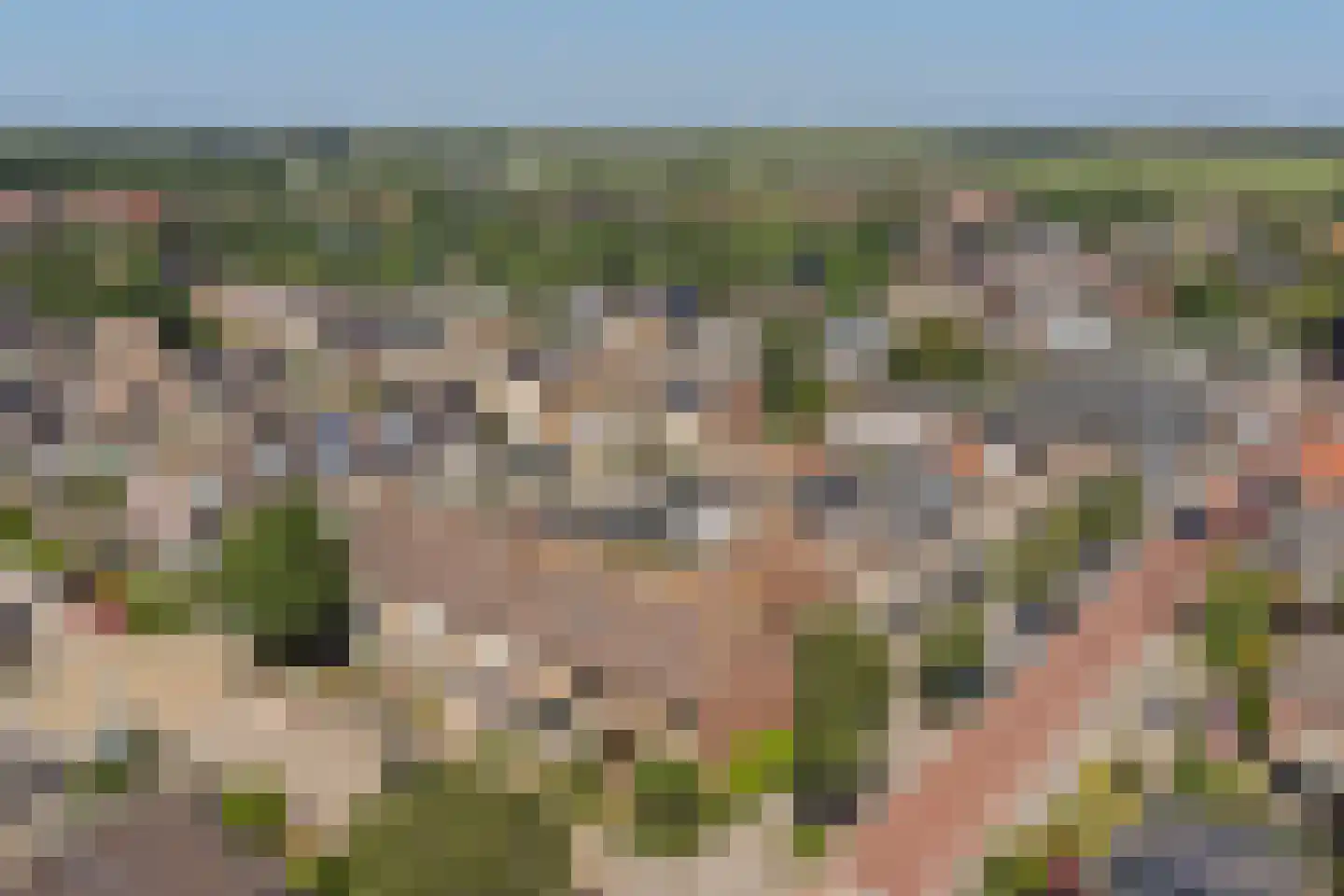 Visweg 2 Egmond-Binnen thumbnail 39