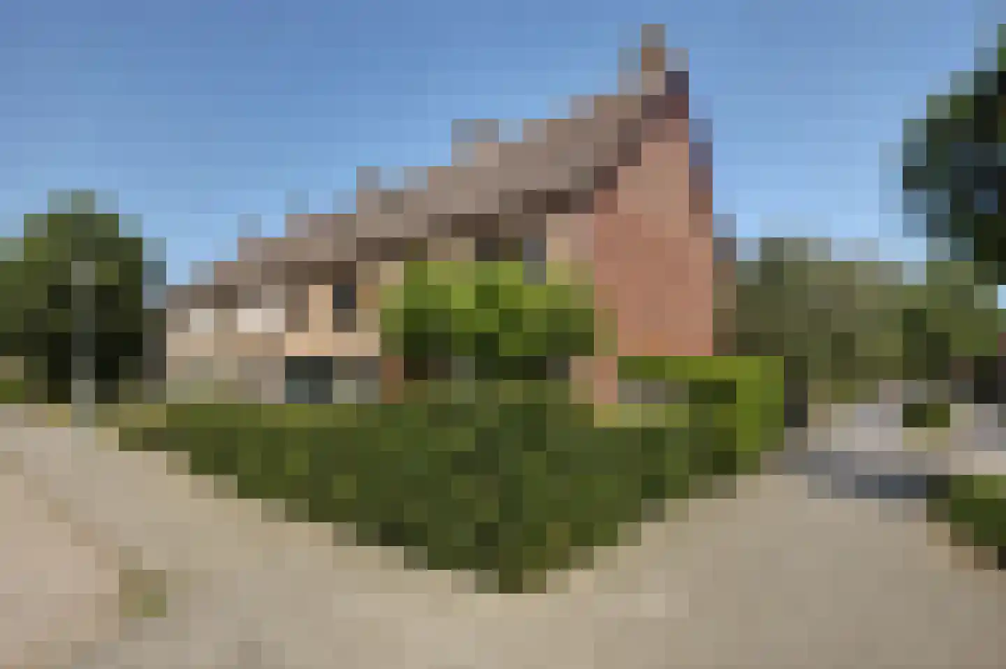 Visweg 2 Egmond-Binnen thumbnail 41