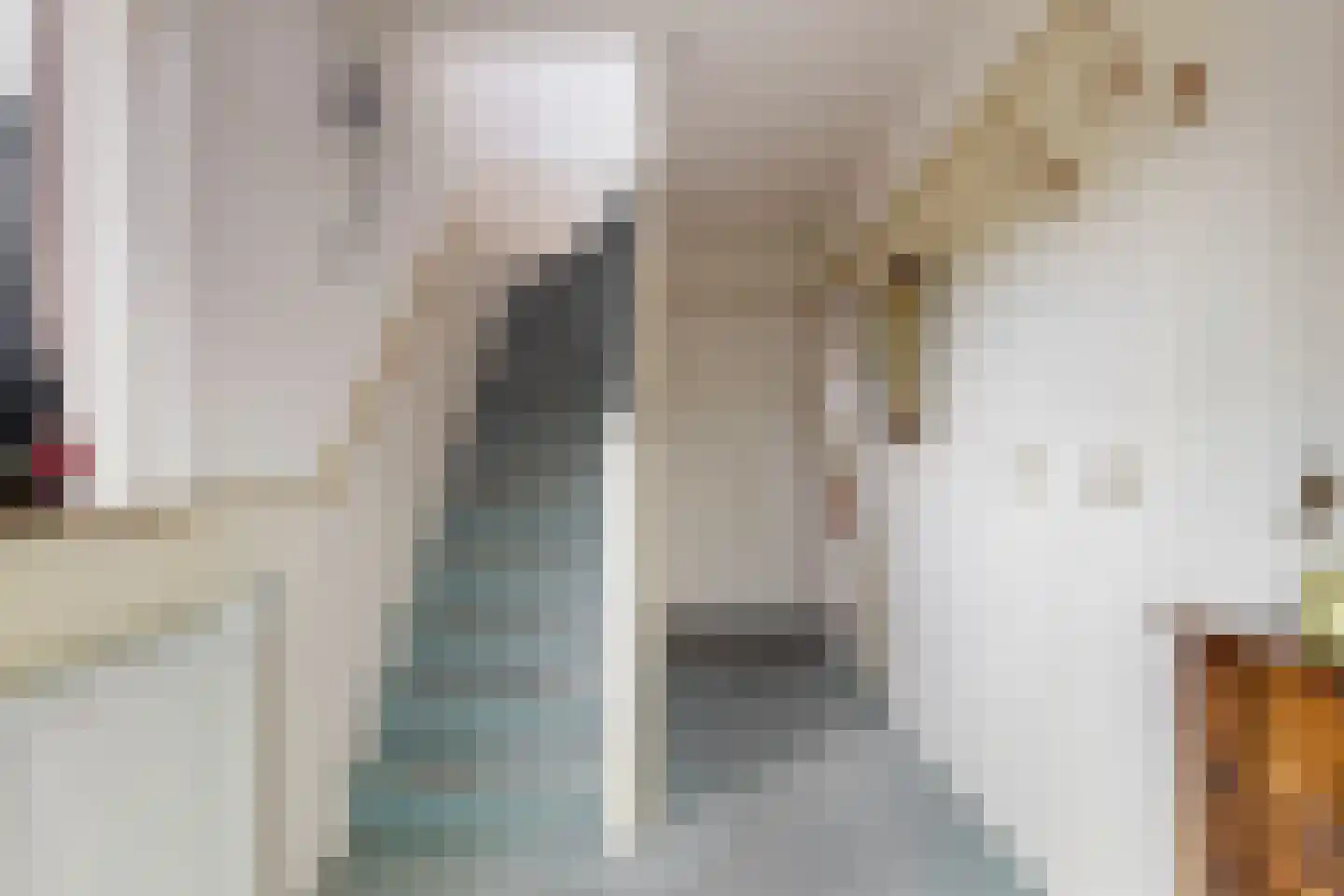 Visweg 23 Limmen thumbnail 18