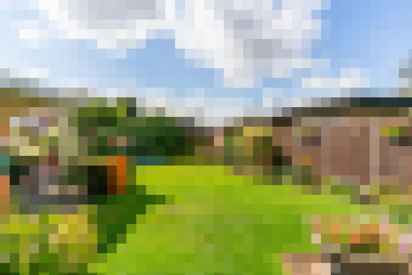 Visweg 23 Limmen thumbnail 42