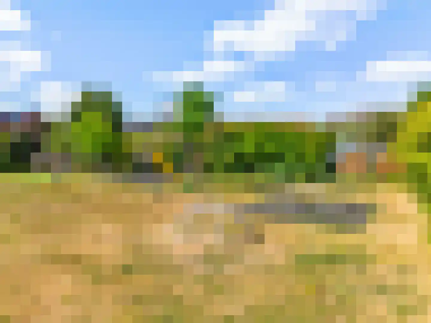 Visweg 23 Limmen thumbnail 45