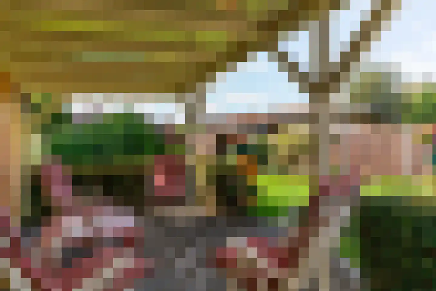 Visweg 23 Limmen thumbnail 46