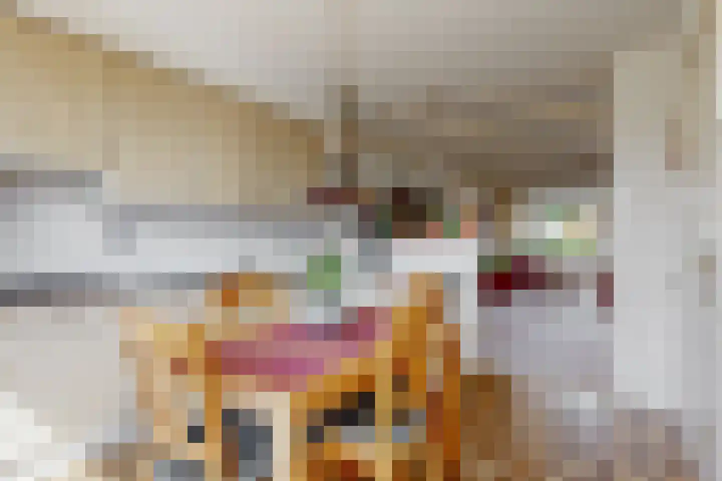 Visweg 23 Limmen thumbnail 8
