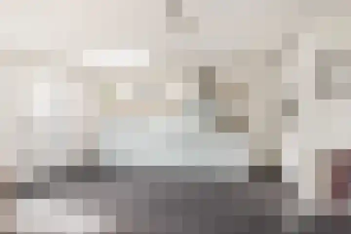 Visweg 3 Limmen thumbnail 15