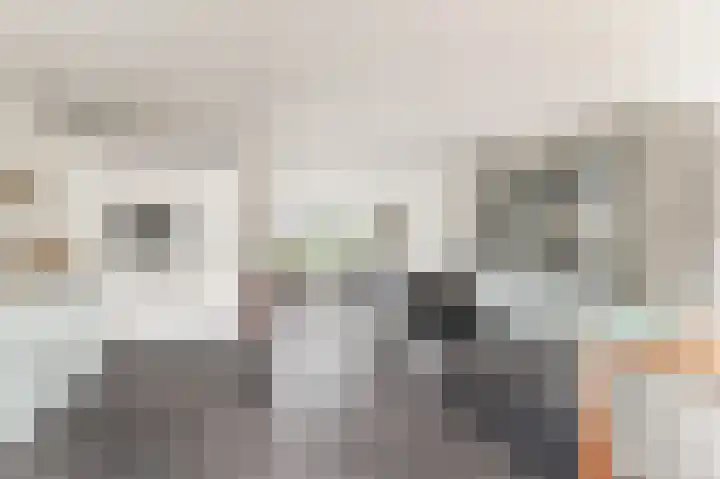 Visweg 3 Limmen thumbnail 18