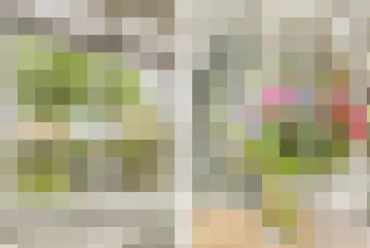 Visweg 3 Limmen thumbnail 21