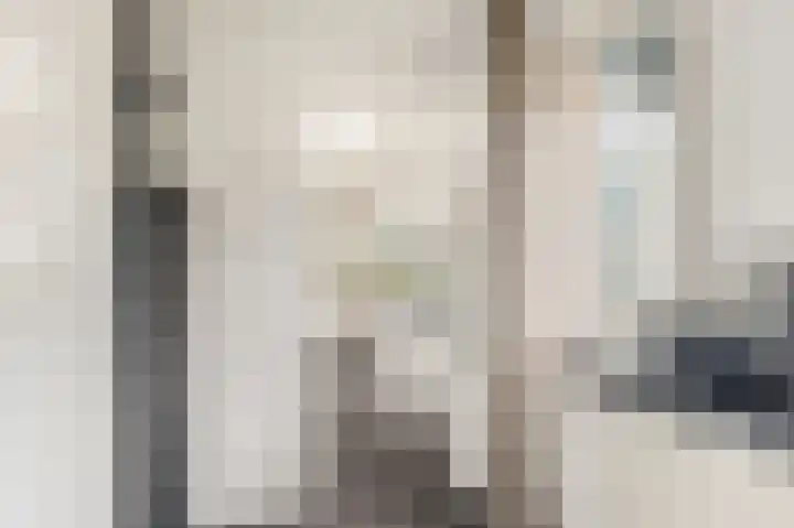 Visweg 3 Limmen thumbnail 24