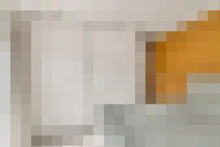 Visweg 3 Limmen thumbnail 27