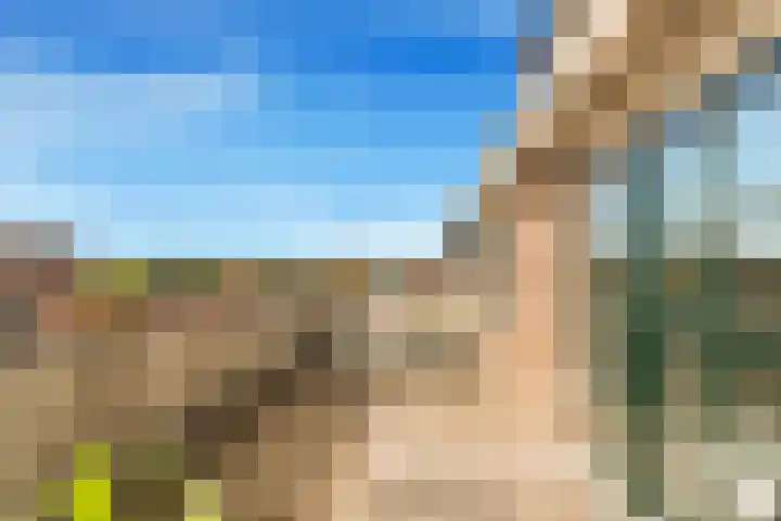 Visweg 3 Limmen thumbnail 30