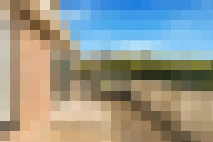 Visweg 3 Limmen thumbnail 31