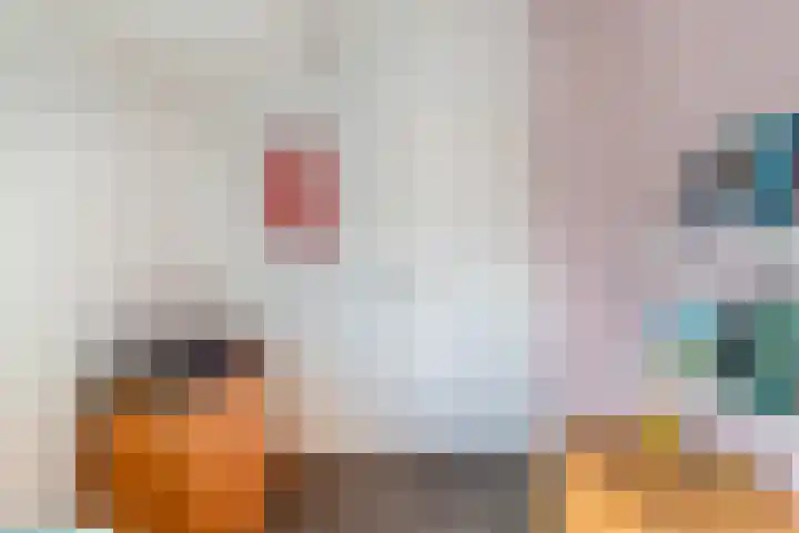 Visweg 3 Limmen thumbnail 39