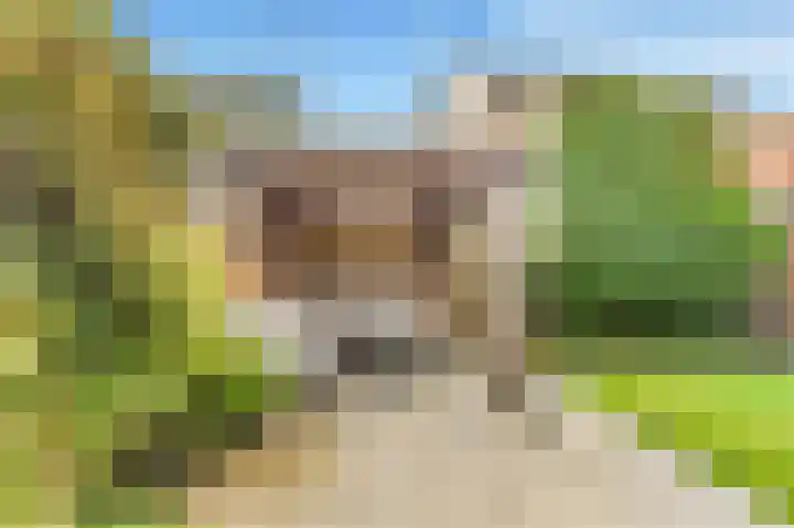 Visweg 3 Limmen thumbnail 44