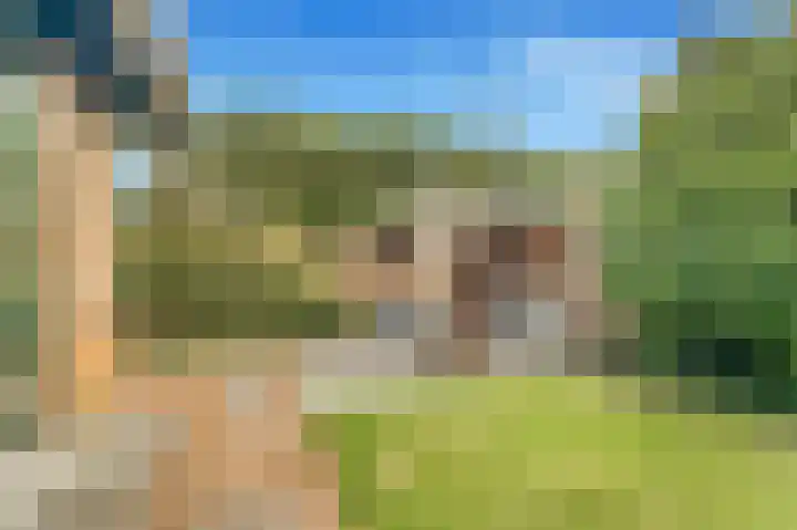 Visweg 3 Limmen thumbnail 45