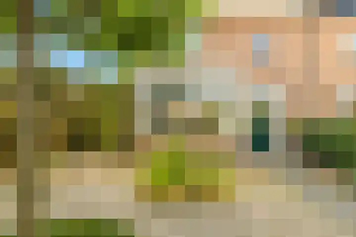 Visweg 3 Limmen thumbnail 49