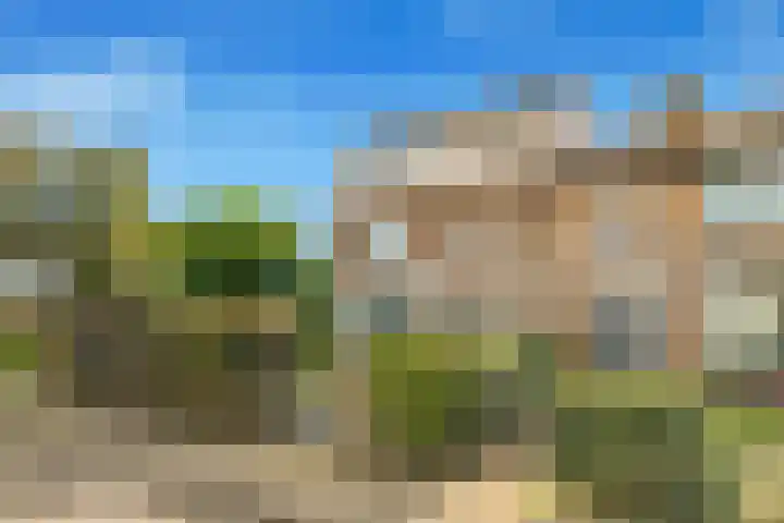 Visweg 3 Limmen thumbnail 50