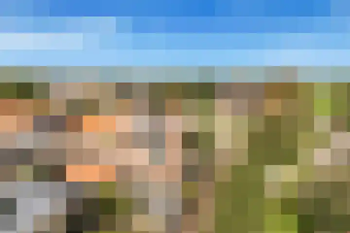 Visweg 3 Limmen thumbnail 52