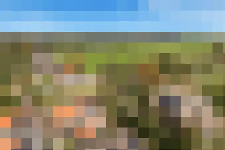 Visweg 3 Limmen thumbnail 53