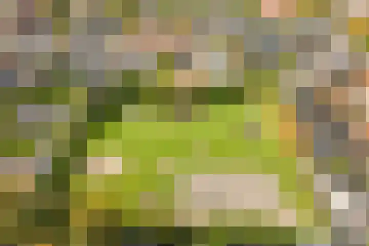 Visweg 3 Limmen thumbnail 54