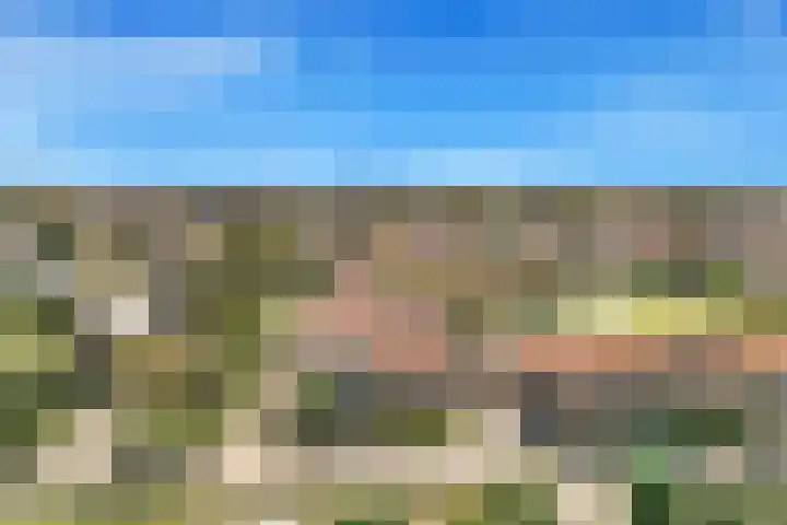 Visweg 3 Limmen thumbnail 55