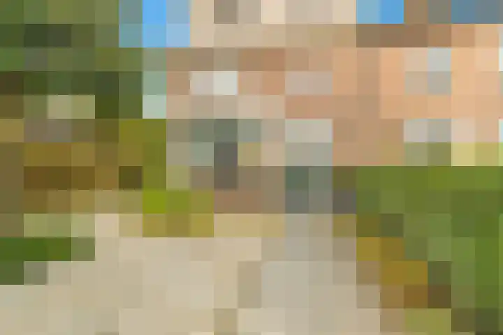 Visweg 3 Limmen thumbnail 7