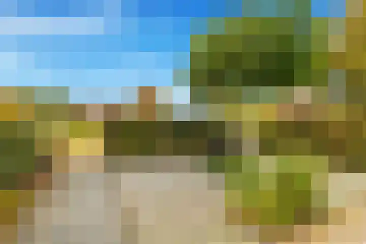 Visweg 3 Limmen thumbnail 8