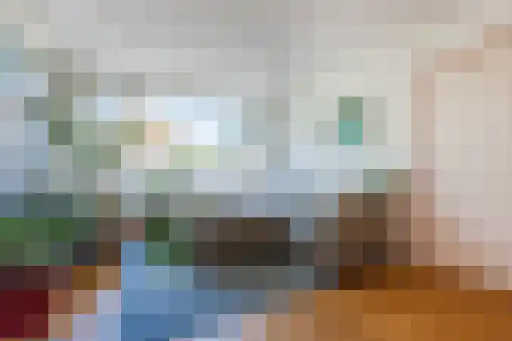 Visweg 4 Egmond-Binnen thumbnail 11