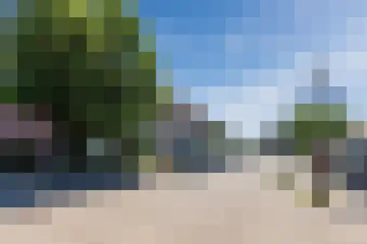 Visweg 4 Egmond-Binnen thumbnail 52