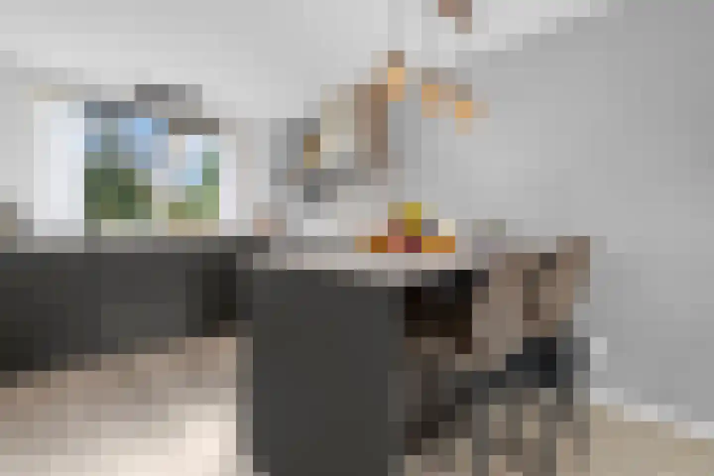 Visweg 41 Limmen thumbnail 12