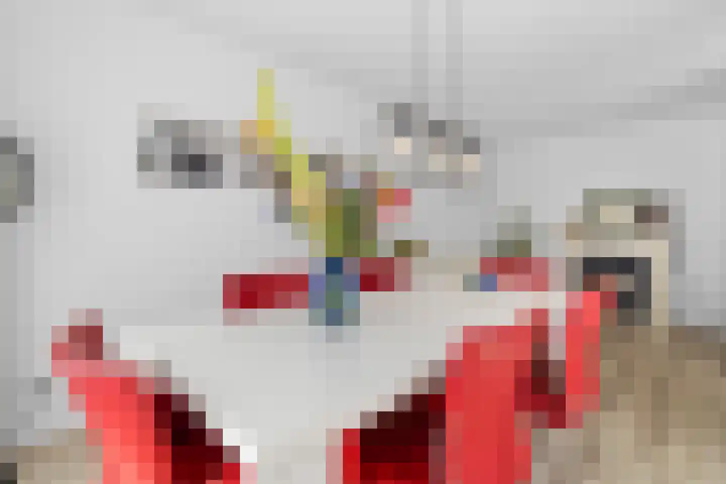 Visweg 41 Limmen thumbnail 17