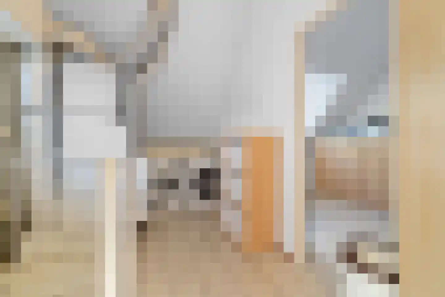 Visweg 41 Limmen thumbnail 29