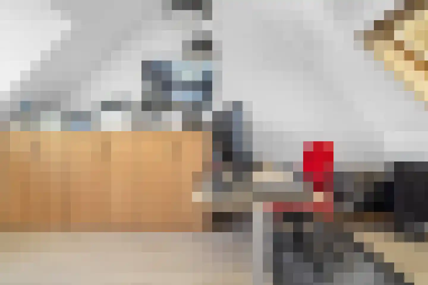 Visweg 41 Limmen thumbnail 30