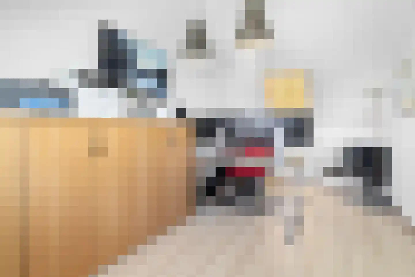 Visweg 41 Limmen thumbnail 31