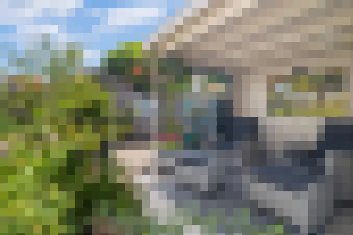 Visweg 41 Limmen thumbnail 38