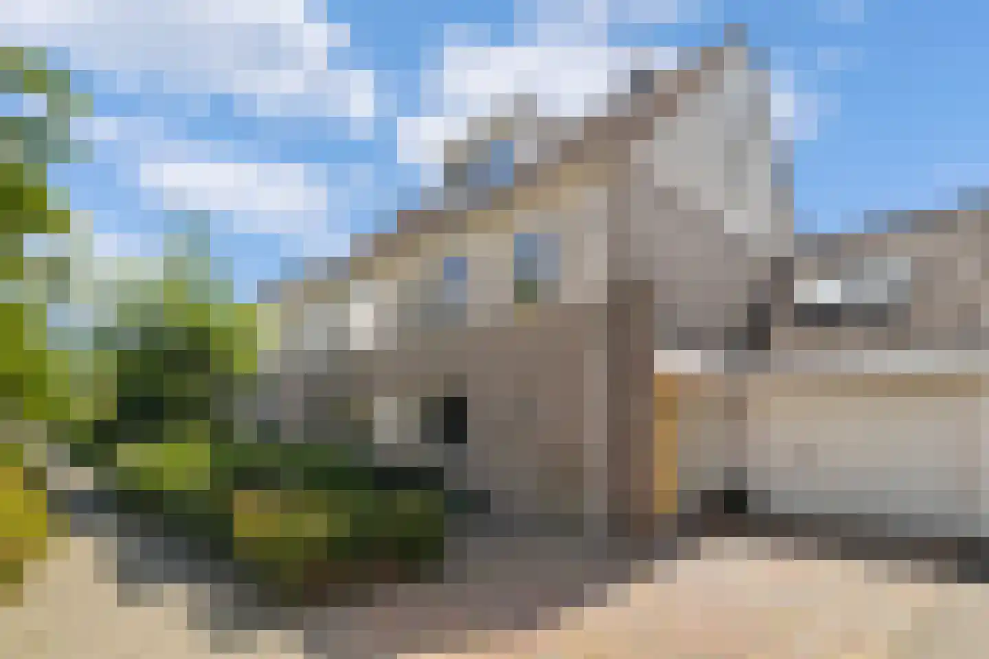 Visweg 41 Limmen thumbnail 6