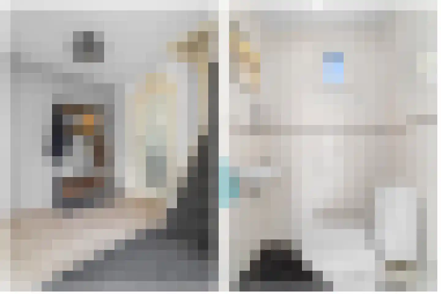Visweg 41 Limmen thumbnail 8