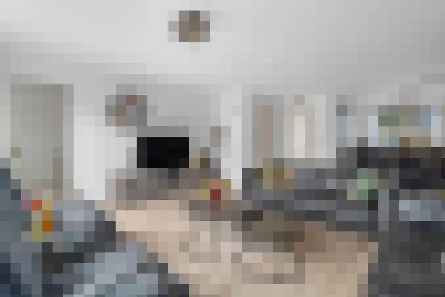 Visweg 41 Limmen thumbnail 9