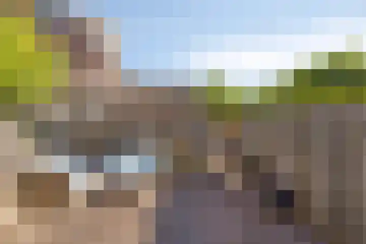 Visweg 42 Egmond-Binnen thumbnail 11