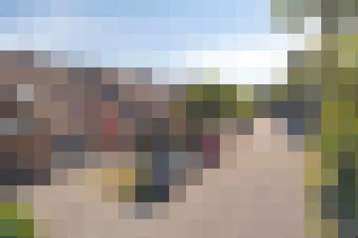 Visweg 42 Egmond-Binnen thumbnail 20