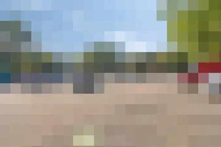 Visweg 42 Egmond-Binnen thumbnail 24
