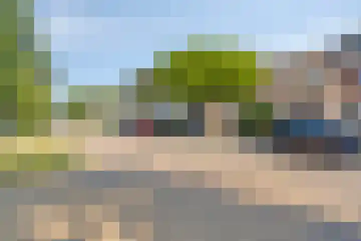 Visweg 42 Egmond-Binnen thumbnail 25