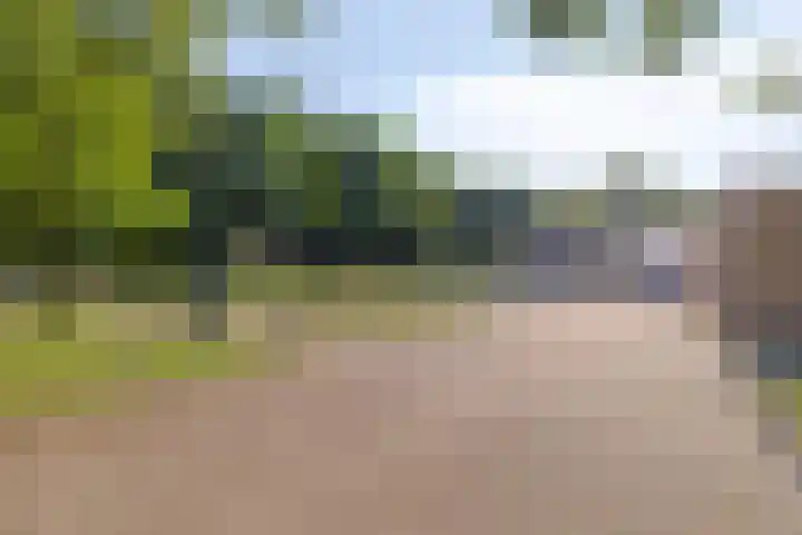 Visweg 42 Egmond-Binnen thumbnail 26