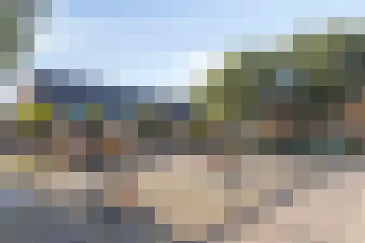Visweg 42 Egmond-Binnen thumbnail 27