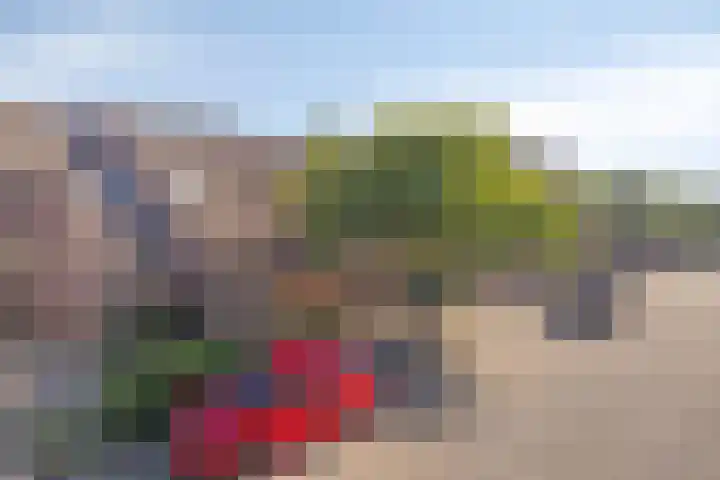 Visweg 42 Egmond-Binnen thumbnail 4