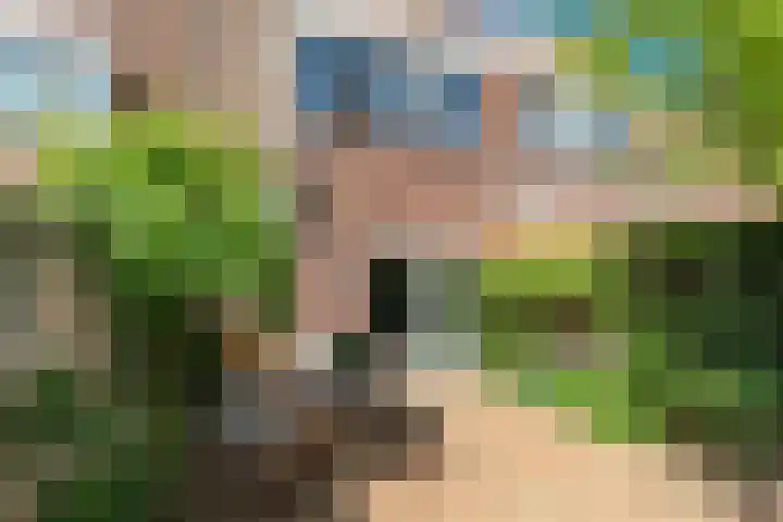 Visweg 44 Egmond-Binnen thumbnail 35