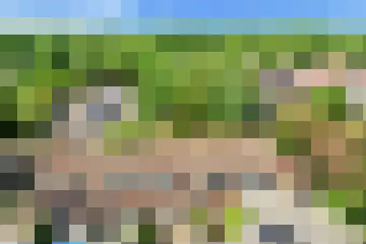 Visweg 44 Egmond-Binnen thumbnail 42